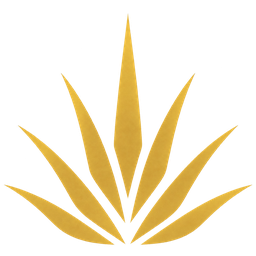 Aloe Cielo